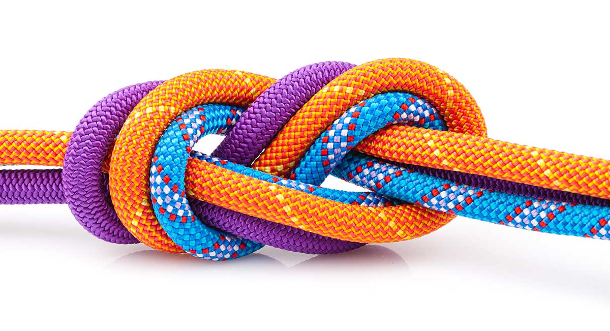 Les Valeurs chez SynergyBusiness